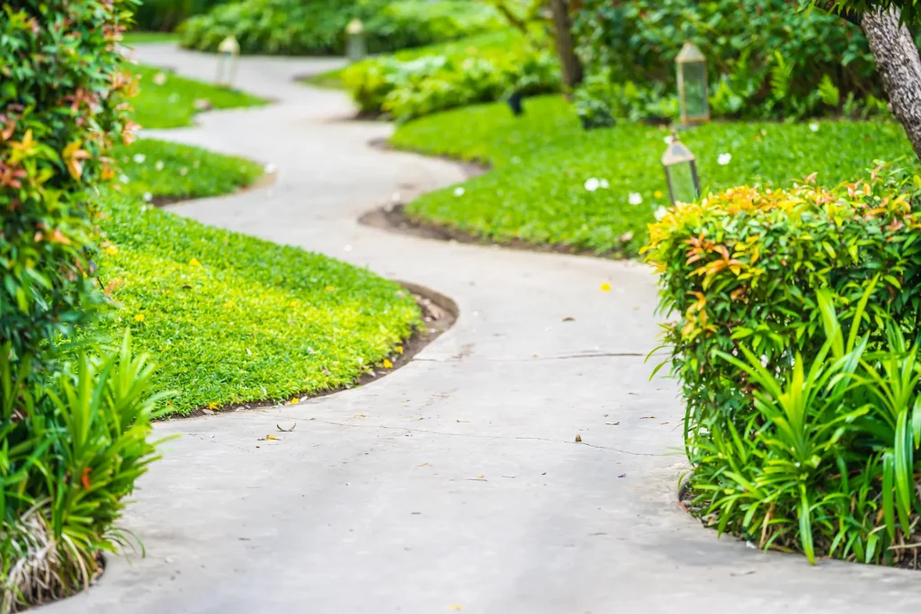Concrete walkway winding through a landscaped garden.
